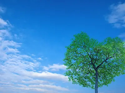 福利厚生について